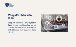 Vòng đời nhân viên là gì?