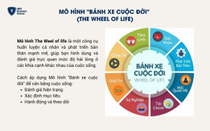 Mô hình 