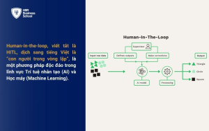 Human-in-the-loop là gì?