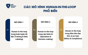 Các mô hình Human-in-the-loop phổ biến