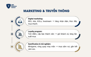 Marketing & truyền thông