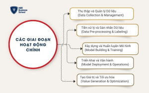 Các thành phần trong chuỗi giá trị AI