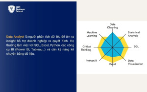 Data Analyst là gì?