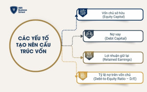 Các yếu tố tạo nên cấu trúc vốn