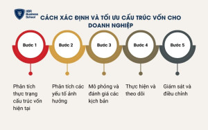 Cách xác định và tối ưu cấu trúc vốn cho doanh nghiệp
