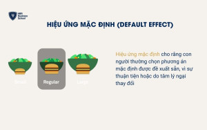 Hiệu ứng mặc định (Default Effect)