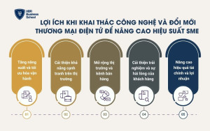 Lợi ích khi khai thác công nghệ và đổi mới thương mại điện tử để nâng cao hiệu suất SME