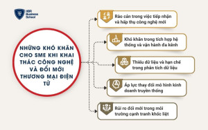 Những khó khăn cho SME khi khai thác công nghệ và đổi mới thương mại điện tử