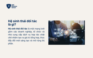 Hệ sinh thái đối tác là gì?
