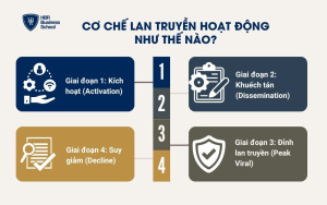 Cơ chế lan truyền hoạt động như thế nào?
