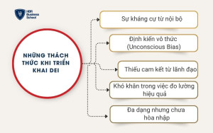 Những Thách Thức Khi Triển Khai DEI