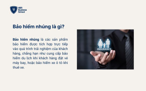 Bảo hiểm nhúng là gì?