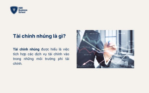Tài chính nhúng là gì?