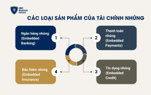 Các loại sản phẩm của tài chính nhúng