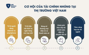 Cơ hội của tài chính nhúng tại thị trường Việt Nam