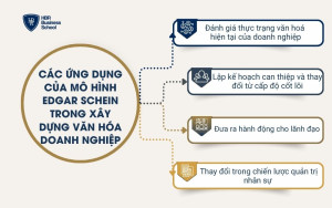 Các ứng dụng của mô hình Edgar Schein trong xây dựng văn hóa doanh nghiệp