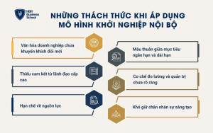 Những thách thức khi áp dụng mô hình khởi nghiệp nội bộ