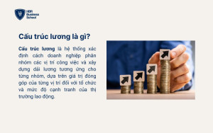 Cấu trúc lương là gì?