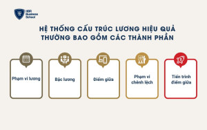 Hệ thống cấu trúc lương hiệu quả thường bao gồm các thành phần