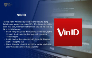 VinID (Việt Nam) – “Hệ sinh thái khách hàng trung thành made in Vietnam”