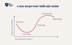 Chi tiết 5 giai đoạn phát triển đội nhóm và vai trò của lãnh đạo