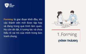 Giai đoạn 1: Forming (Hình thành đội nhóm)