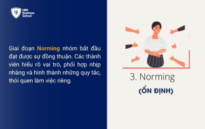 Giai đoạn 3: Norming (Ổn định và hình thành văn hóa nhóm)