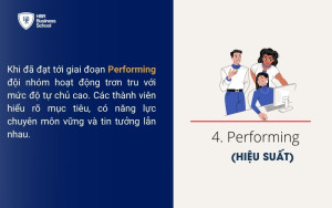 Giai đoạn 4: Performing (Hiệu suất cao)