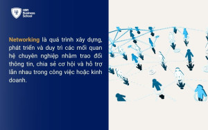 Networking là gì?