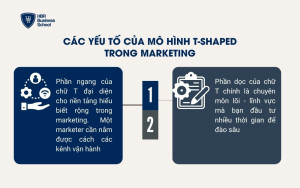 Các yếu tố của mô hình T-Shaped trong Marketing