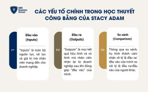 Các yếu tố chính trong học thuyết công bằng của Stacy Adam