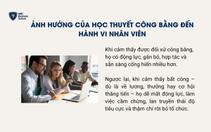 Ảnh hưởng của học thuyết công bằng đến hành vi nhân viên