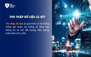 Thu thập dữ liệu là gì?