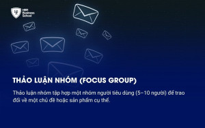 Thảo luận nhóm (Focus Group)
