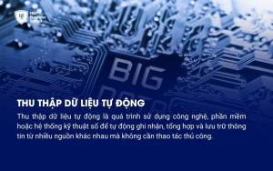 Thu thập dữ liệu tự động