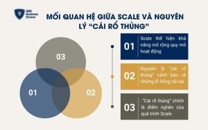 Mối quan hệ giữa Scale và nguyên lý “cái rổ thủng”