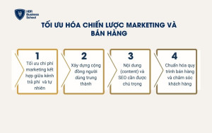 Tối ưu hóa chiến lược marketing và bán hàng