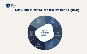 Mô hình Digital Maturity Index (DMI)