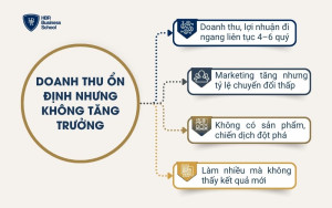 Doanh thu ổn định nhưng không tăng trưởng