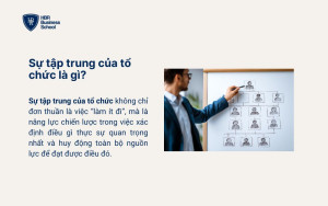 Sự tập trung của tổ chức là gì?