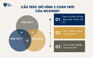 Cấu trúc mô hình 3 chân trời của McKinsey