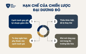 Hạn chế của Chiến lược Đại dương Đỏ