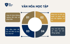 Văn hóa học tập