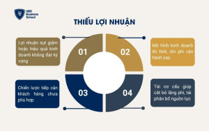Thiếu lợi nhuận