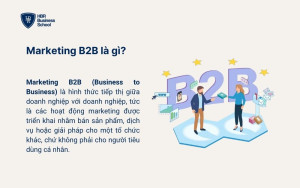 Marketing B2B là gì?
