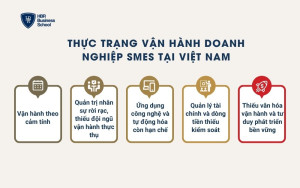 Thực trạng vận hành doanh nghiệp SMEs tại Việt Nam