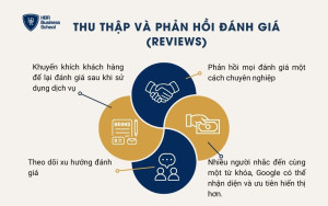 Thu thập và phản hồi đánh giá (Reviews)