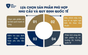 Lựa chọn sản phẩm phù hợp nhu cầu và quy định quốc tế