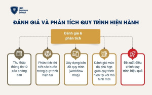 Đánh giá và phân tích quy trình hiện hành