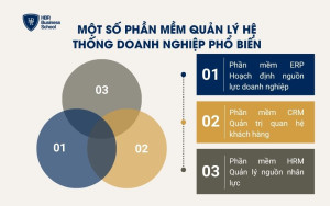 Một số phần mềm quản lý hệ thống doanh nghiệp phổ biến